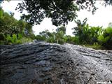 Bosque Nacional El Yunque - LUQUILLO